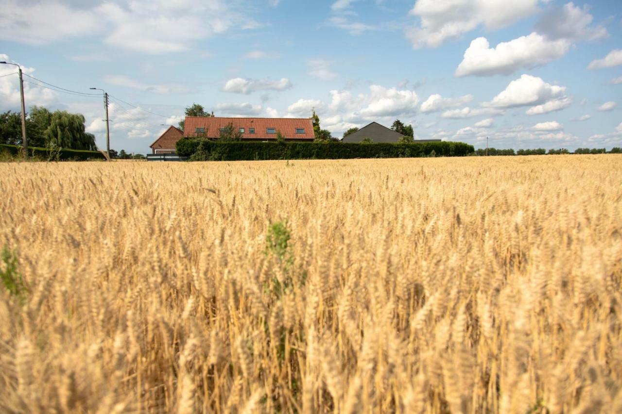 ฌีต เดอ ลา เวเซ Villa La Chapelle d'Armentieres ภายนอก รูปภาพ